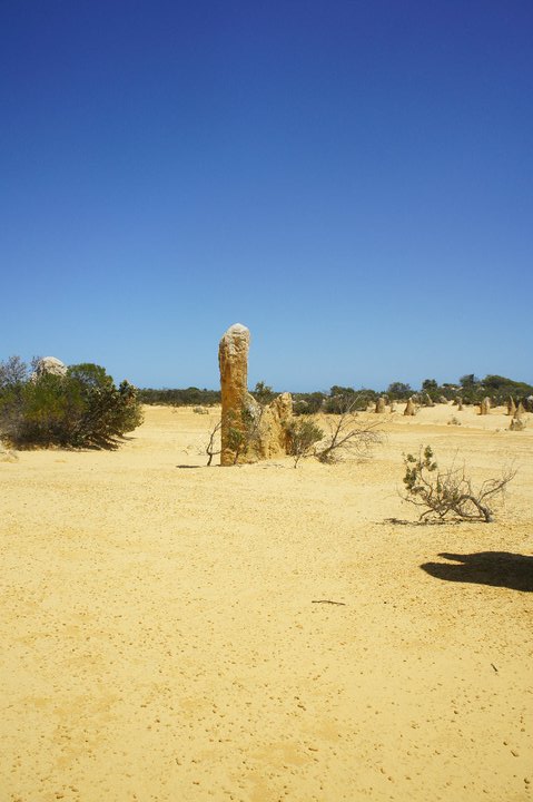 désert des pinnacles australie