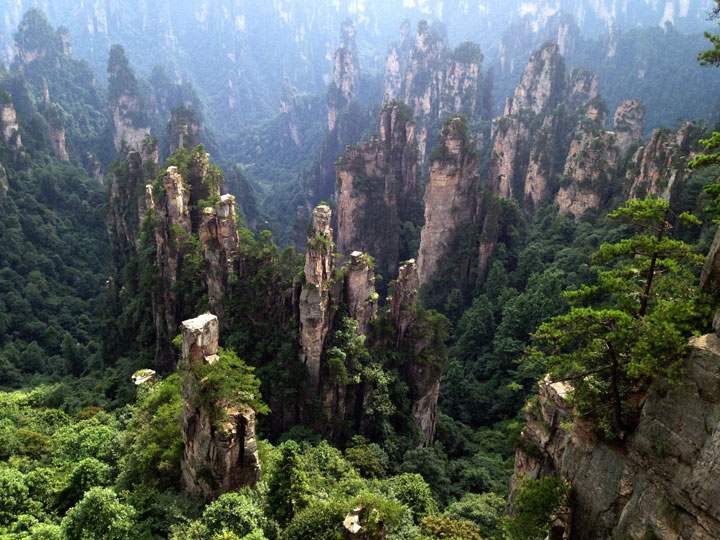La forêt de pierre d'Hunan Chine