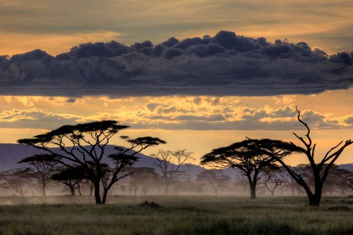 Serengeti en Tanzanie - Afrique