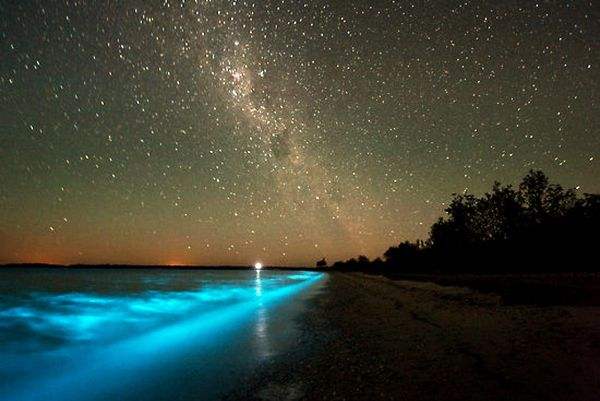 plage fluorescente vaadhoo maldives