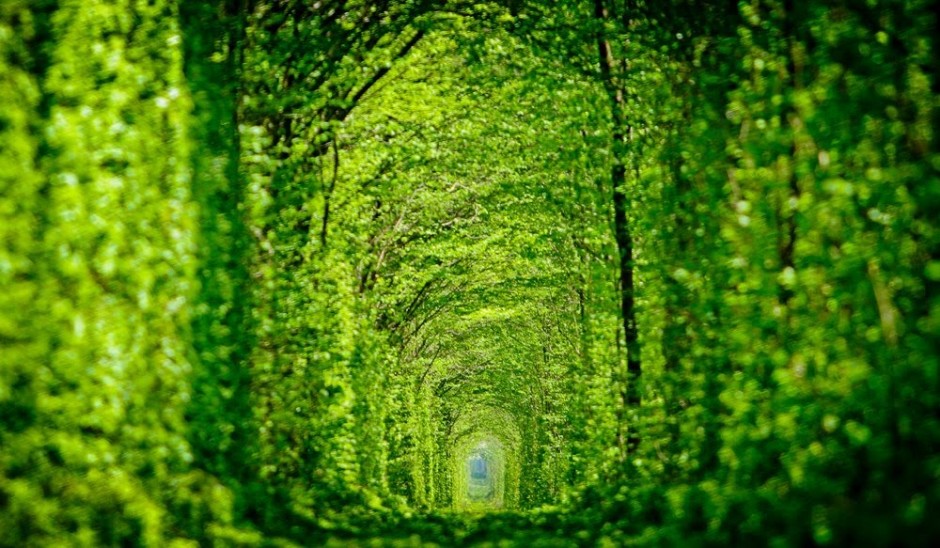 Tunnel de l'amour Klevan Ukraine