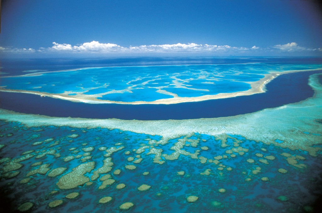 la grande barrière de corail australie