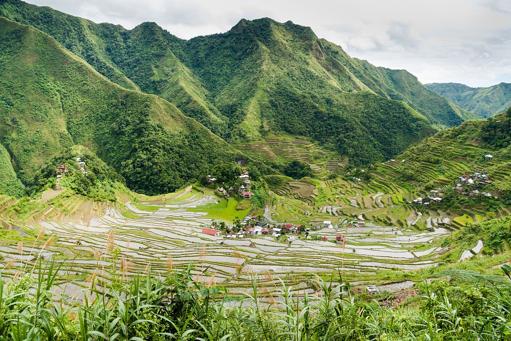 riziere-banaue