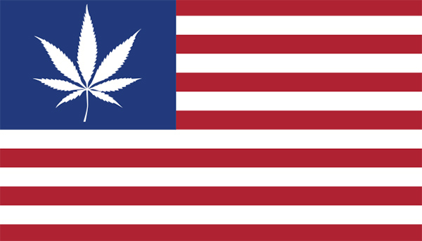 La légalisation du cannabis aux États-Unis : tout ce qu’il faut savoir